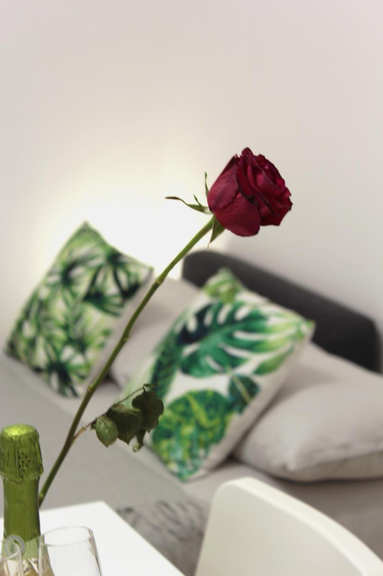 La Corte Dei Creativi Lussuoso In Centro Milano Ngoại thất bức ảnh